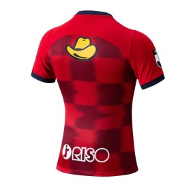 Kashima Antlers Thuisshirt 2024-25